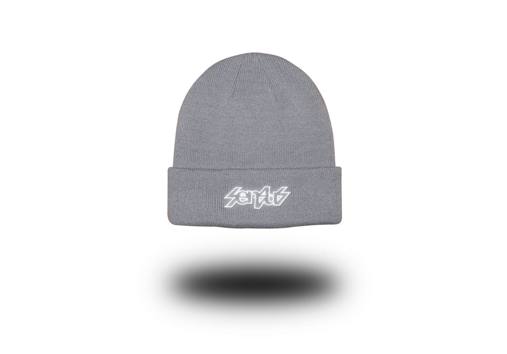 Staple Beanie - Slate