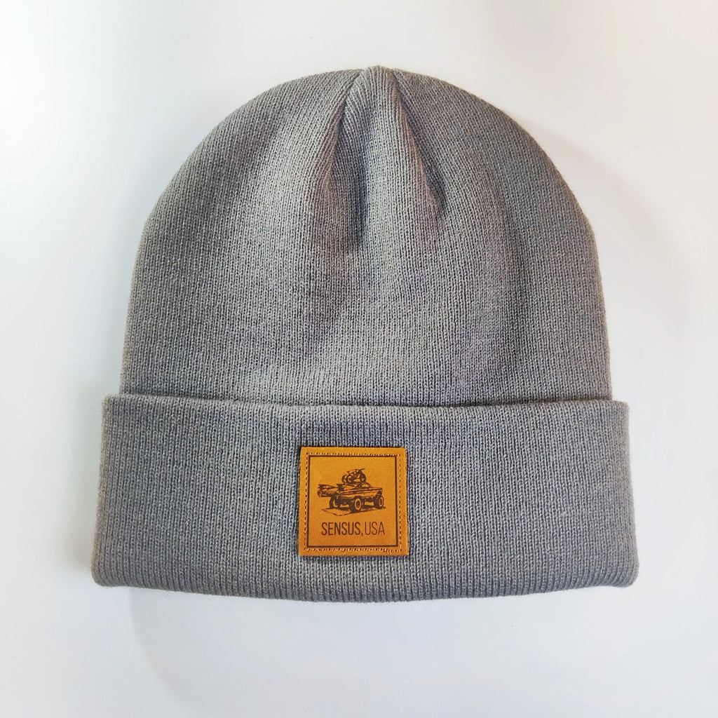 Raddy Beanie - Slate